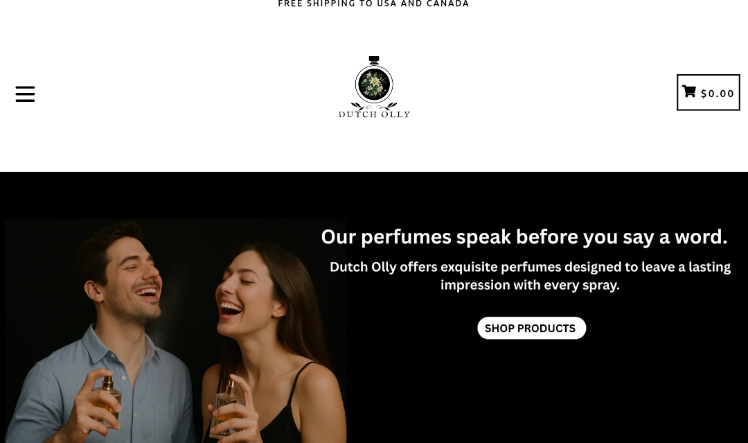 Shopify Store Designing