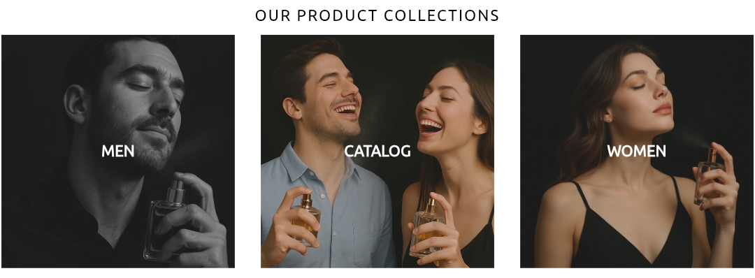 Shopify Store Designing